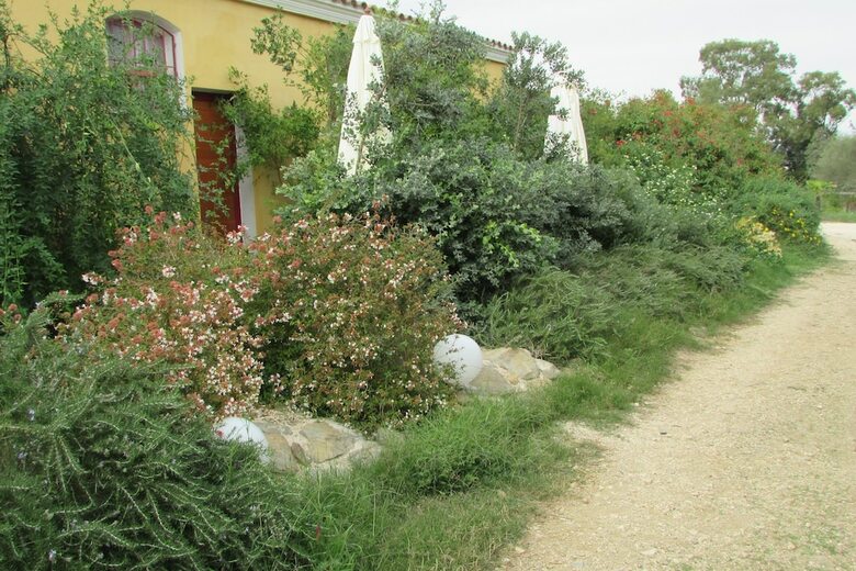 Agroturismo Cavalli Di S'arcaite
