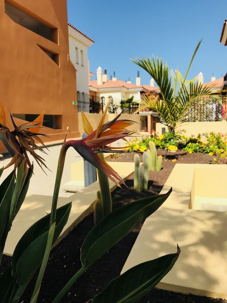 Apartamentos La Casa Canaria