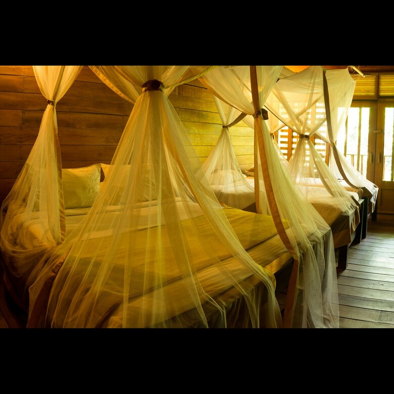 Hotel On Vacation Amazon All Inclusive