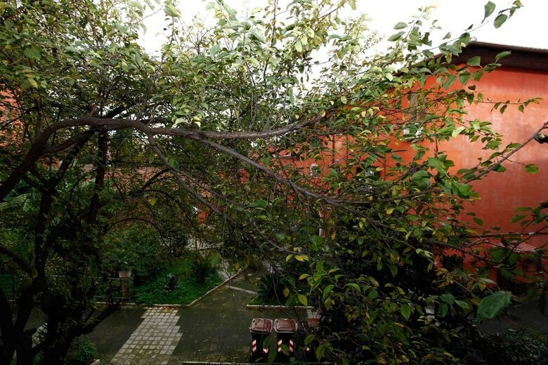 Apartamento Wonder Trastevere Corner