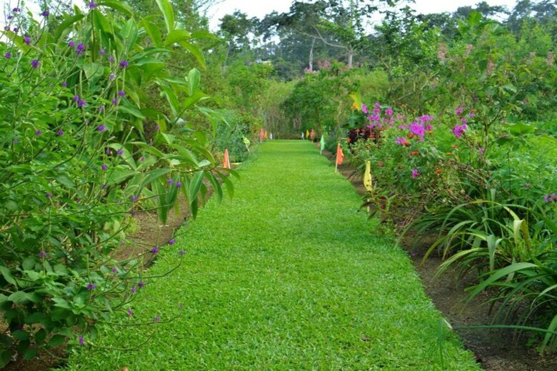 Posada Finca Don Juan Lodge