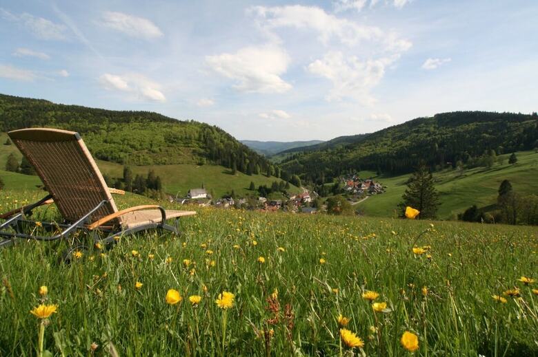 Vital Hotel Gr�ner Baum