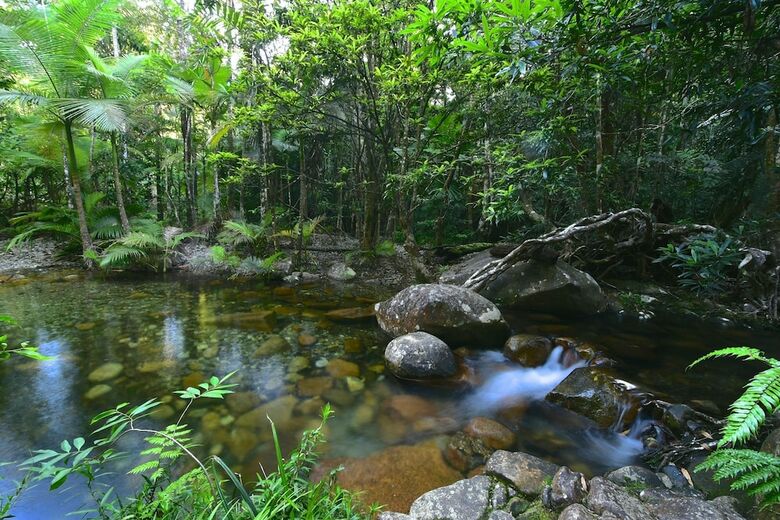 Cabana Daintree Cascades