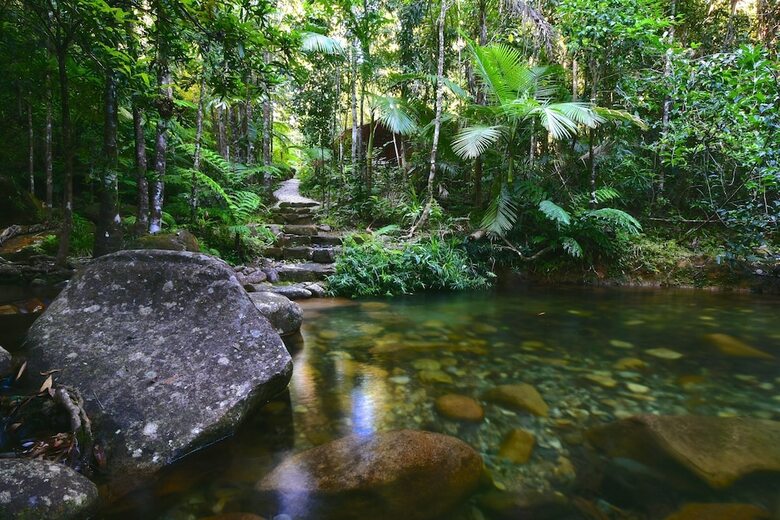 Cabana Daintree Cascades