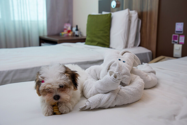 Hotel Mercure Macei� Paju�ara
