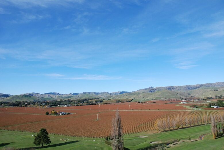 Infinityview B&B