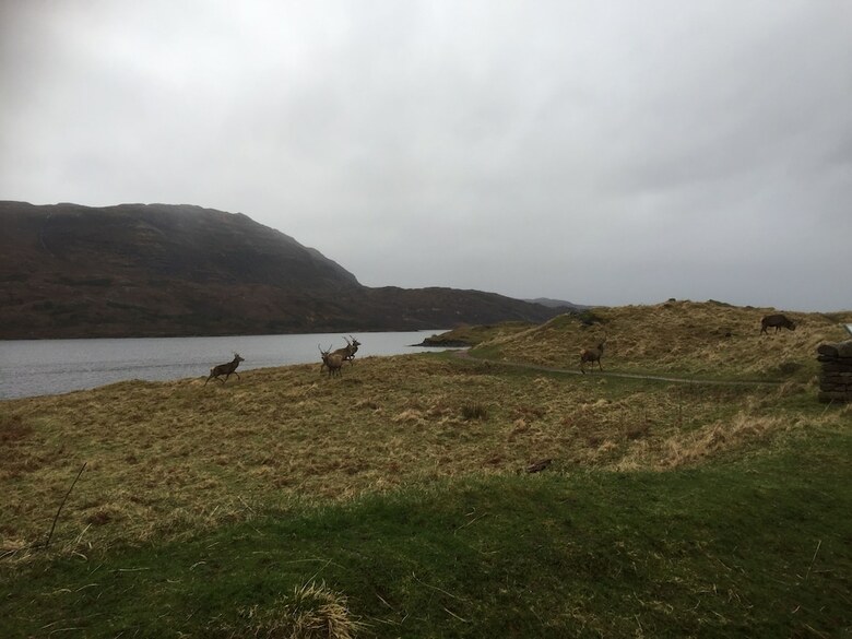 The Drumbeg Hotel