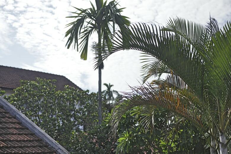 Hotel Khanh's Home