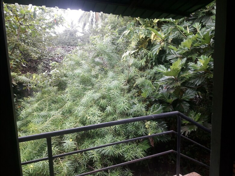 Bed & Breakfast Home Stay Strand