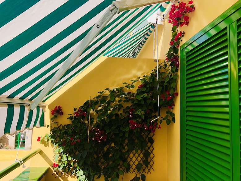 Apartamentos Bouganvilla