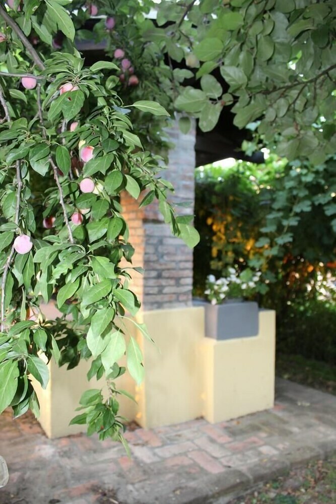 B&B Il Pozzo