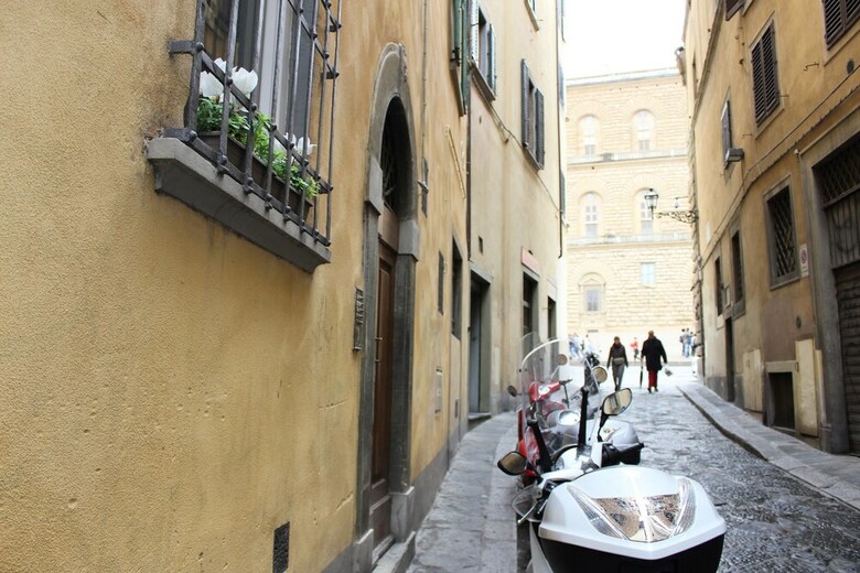 Art Apartment Sdrucciolo D� Pitti