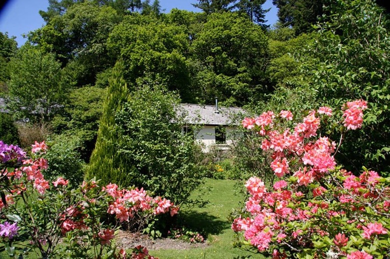 Cwm Irfon Lodge Cottages