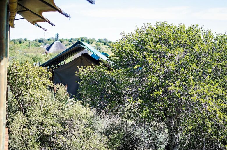 Posada Buffelsdrift Game Lodge