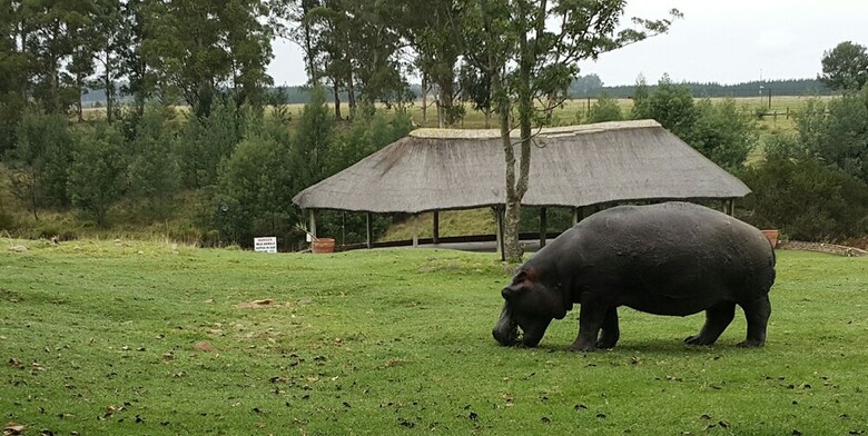 Hotel Plettenberg Bay Game Reserve