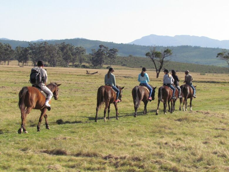 Hotel Plettenberg Bay Game Reserve