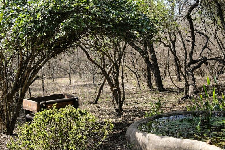 Hostal Homebase Kruger
