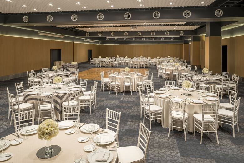 Hotel Camino Real Aeropuerto