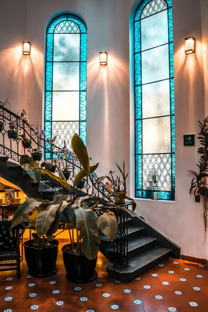 Hotel Orchid House Polanco
