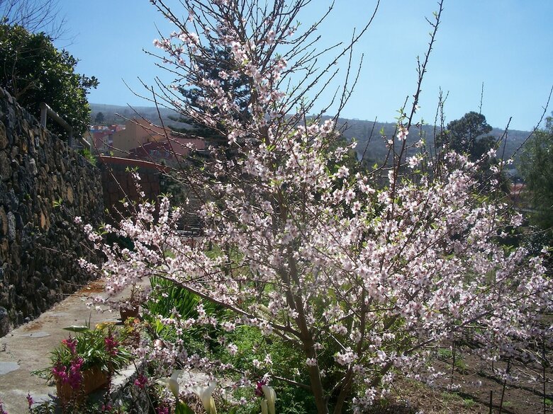 Agroturismo Villa Caya B
