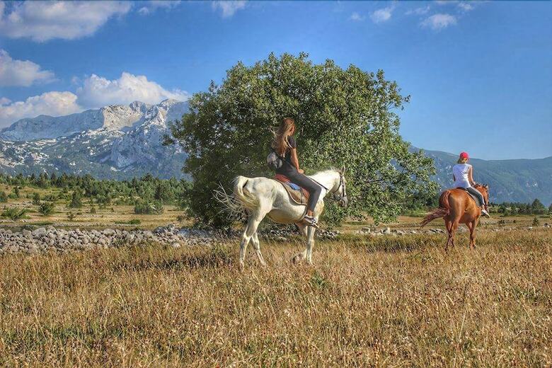 Apartmani Bosco Blidinje