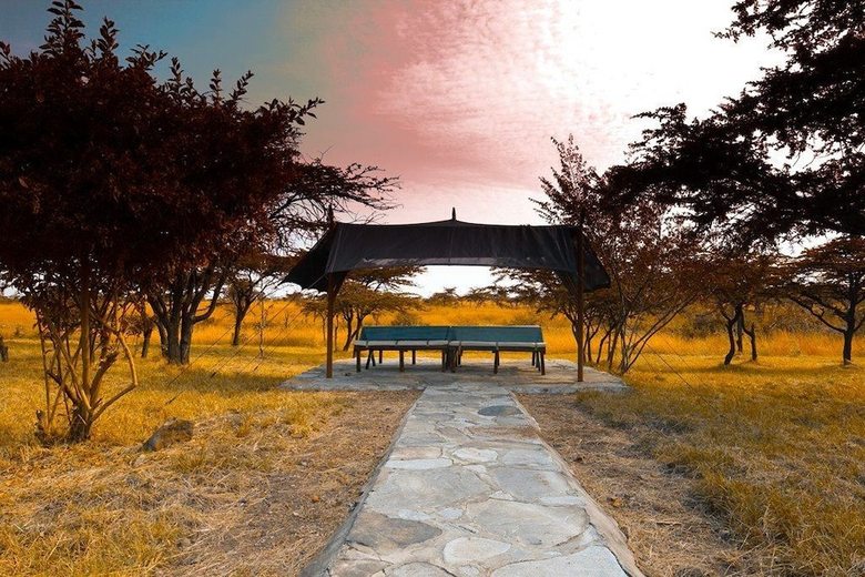 Nyumbu Camp