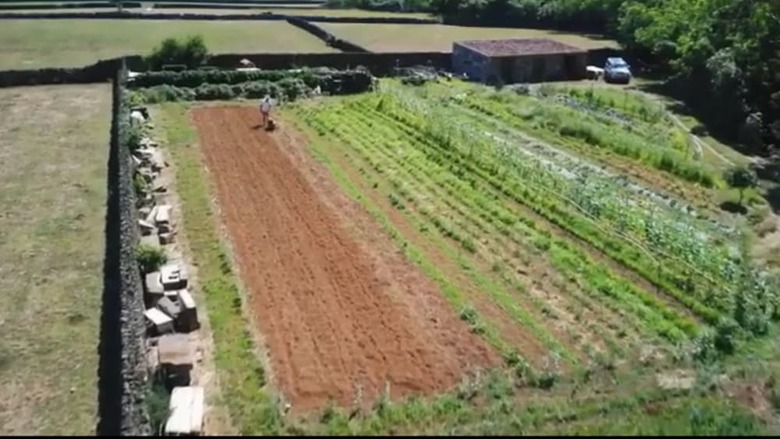 Quinta De S�o Braz