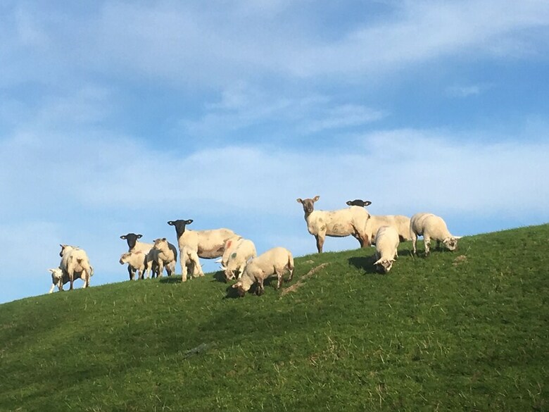 Landhaus Nordsee-peerhuus