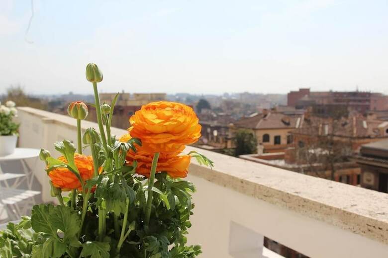 Hotel Windows On Rome