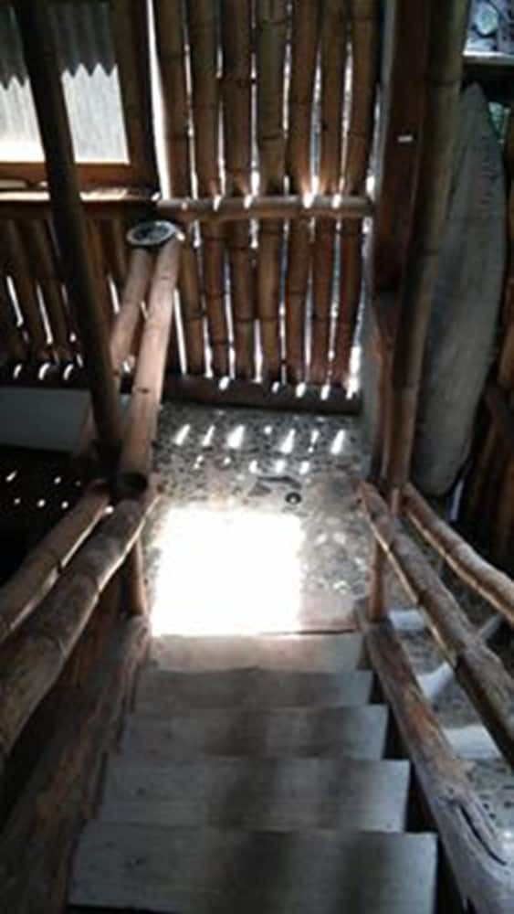 Hostal Freedom Jungle