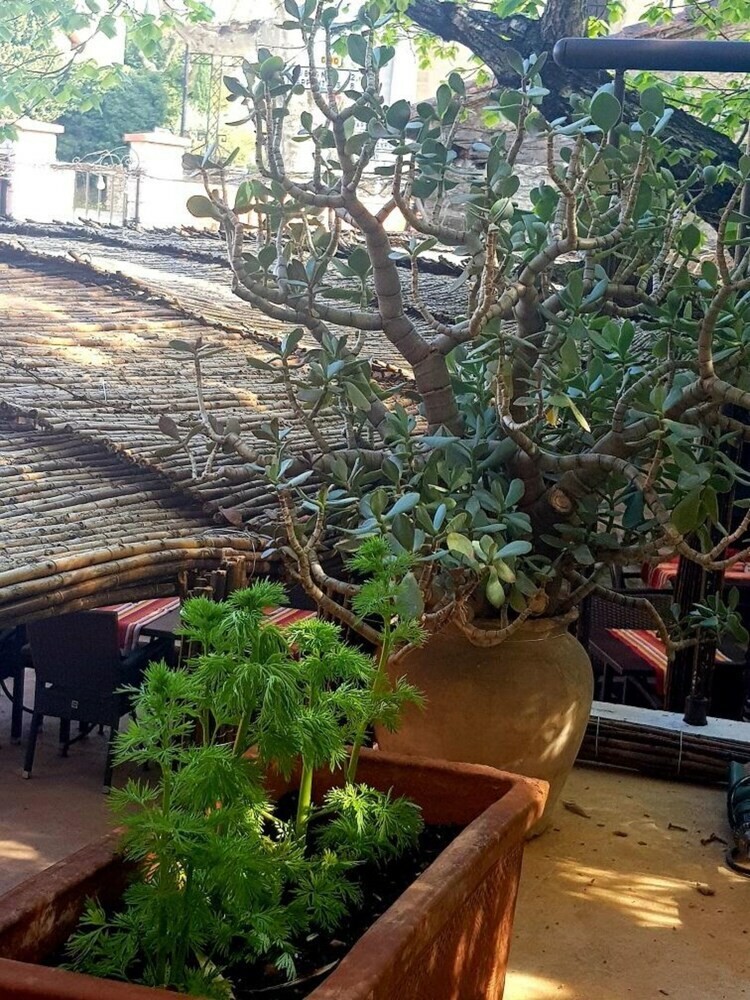 Amerigo Vespucci - B&B Et Restaurant
