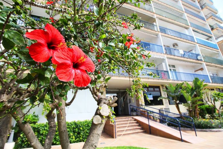 Crucero - Apartamento En 1� L�nea De Playa