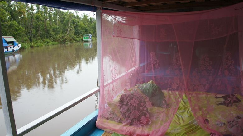 Houseboat Bee Kelotok