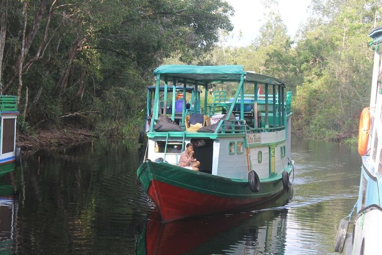 Houseboat Bee Kelotok