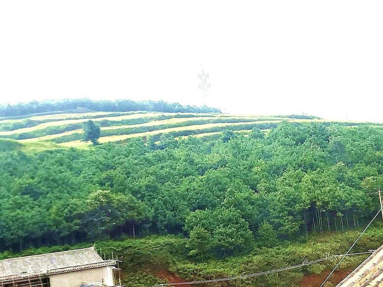 Bed & Breakfast Hongjingxuan Hotel