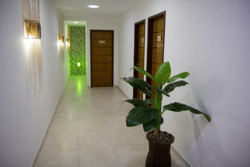 Hostal Pousada Maragolfinho
