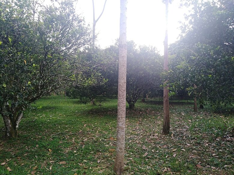 Posada Tierralinda Finca Cottage