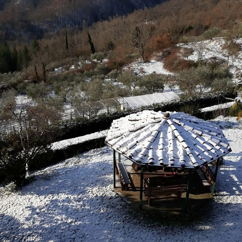Agroturismo Borgo Del Senatore