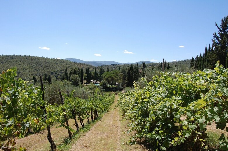 Agroturismo Borgo Del Senatore