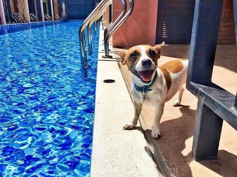 Oyo 119 Baan Noppadol Hua Hin Loft Hotel