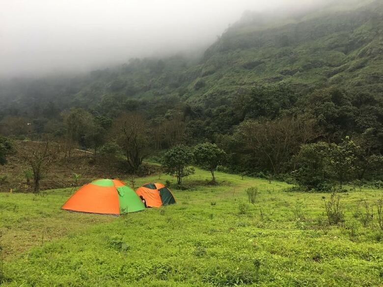 Canary Forest Camping