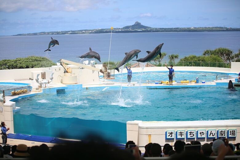 Apartamentos Little Island Okinawa Nago