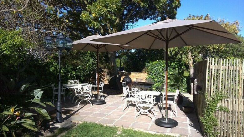 Hotel Wild Olive Guest House