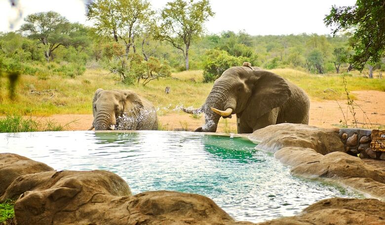 Hotel Motswari Private Game Reserve