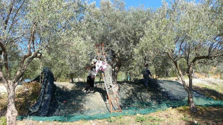 Agroturismo Tenuta Bartoli Maison De Charme