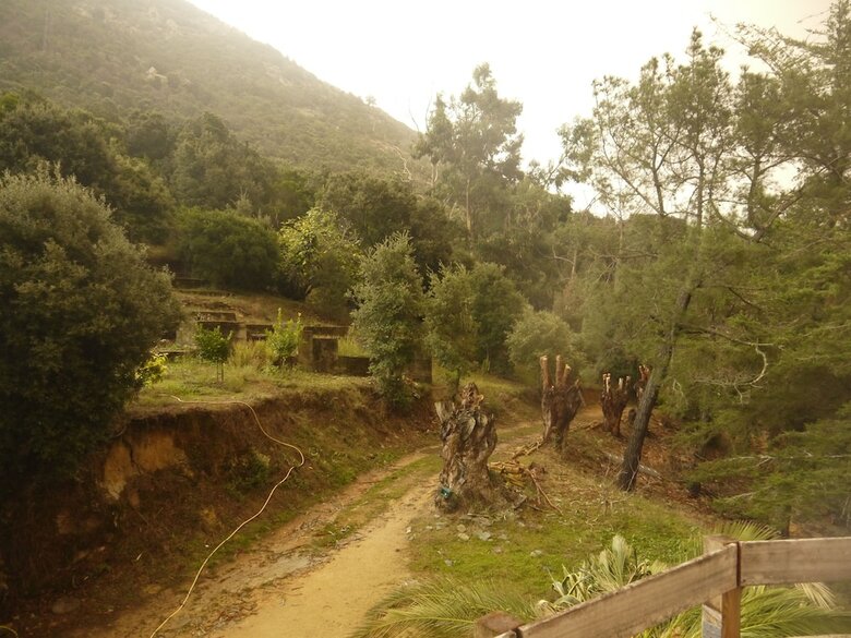 Bed & Breakfast Bergerie U Sialellu