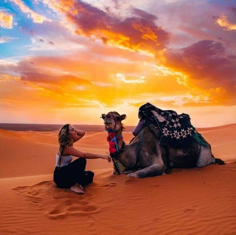 Star Desert Camp