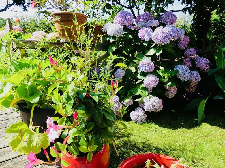 Bed & Breakfast Chambres D'h�tes Madiha Lacanau-ocean