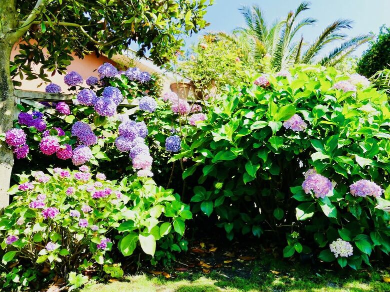 Bed & Breakfast Chambres D'h�tes Madiha Lacanau-ocean