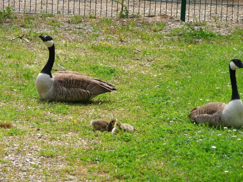 Hotel Camping De Ch�lons-en-champagne